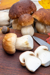 Fresh raw edible forest mushrooms Boletus Edulis or porcini fungus, tasty vegetarian food