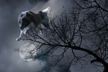 image of a wolf jumping from the sky at the moony night