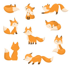 A set of cute cartoon foxes in different actions. Vector illustration in flat cartoon style.