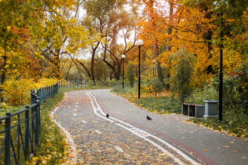 Bicycle path and walking area, in autumn colors, yellow and orange trees, autumn in warm colors
