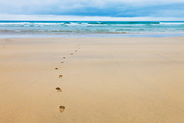 Footprints in sand make their way into the sea