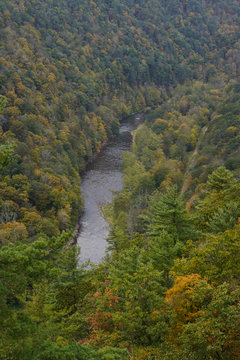 The gorge at the Pennsylvania Grand Canyon.