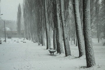 Beautiful New Year's weather in a snowy park. Colaps on the streets. Christmas theme