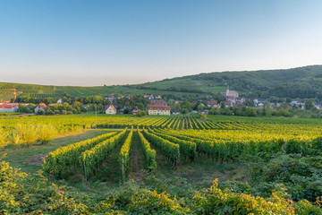 Andlau, France - 09 15 2019: Panoramic view of the vineyards and the village at sunset.