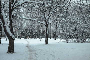 Beautiful winter landscape in the forest. Road outside the city and snowfall. Snowdrifts in the park and uncleaned street. Christmas and New Year background