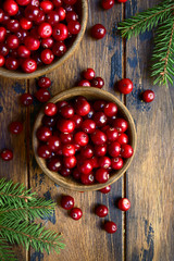 Fresh ripe cranberries. Top view with copy space.