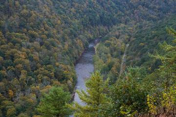 View of the gorge at the Pennsylvania Grand Canyon. Scenic view of the fall foliage.