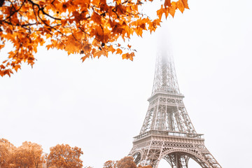 Postcard with a view of the Eiffel Tower in the fog - yellow autumn leaves in the form of a frame in the foreground - copy space