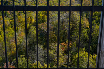 View through the railing at the Kinzua Bridge State Park in Pennsylvania. 