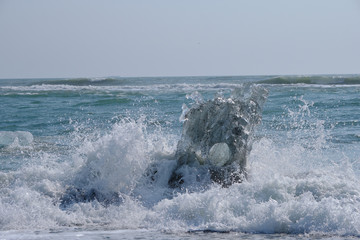 Naklejka premium Ice Floes and chunks wash up on pristine black sand beaches on the southern Iceland Coast from melting and calved glaciers