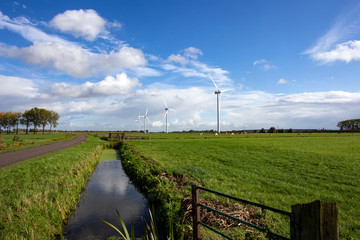 Fototapeta premium Eco power in nature landscape, Dutch landscape with windmills and cows grazing
