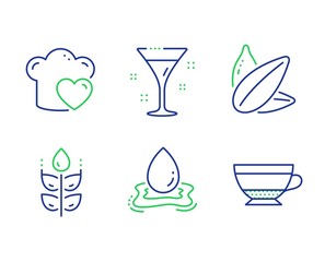 Gluten free, Sunflower seed and Water splash line icons set. Love cooking, Cocktail and Dry cappuccino signs. Bio ingredients, Vegetarian food, Aqua drop. Chef hat. Food and drink set. Vector