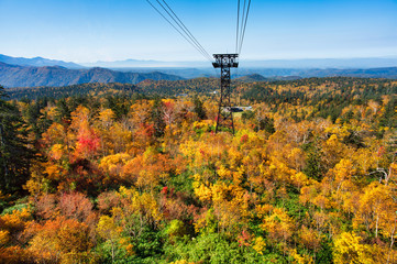 旭岳の紅葉