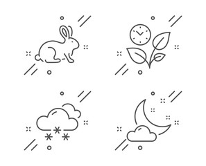 Leaves, Snow weather and Animal tested line icons set. Night weather sign. Grow plant, Snowflake, Bio product. Sleep. Nature set. Line leaves outline icon. Vector