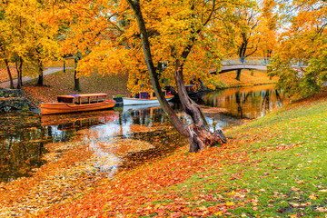 Autumn in central public park of Riga - capital and largest city of Latvia, a major commercial, cultural, historical and tourist center of the Baltic region  - obrazy, fototapety, plakaty