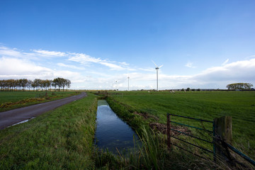 Obraz premium Eco power in nature landscape, Dutch landscape with windmills and cows grazing