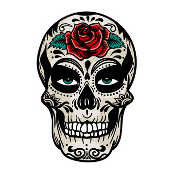 Vector hand drawn colorful illustration of Day Of The Dead Skull. Skull sugar flower. Skull tattoo isolated on white.