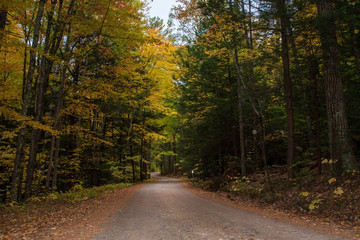 Naklejka premium a road