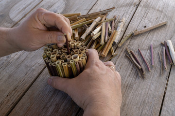 Do it yourself insect hotel made from hollow plant stalks