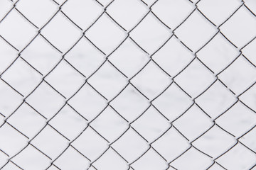 Fototapeta premium Frozen fence made of metal mesh covered with snowy hoarfrost, winter day.