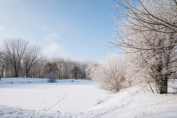 Winter park landscape in frosty and sunny day
