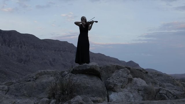 Violinist in Desert Sunset