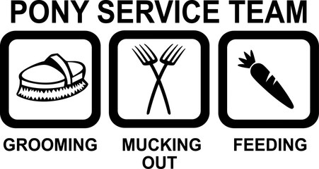 Pony Service