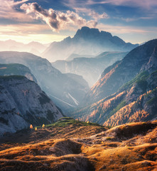 Mountain canyon lighted by bright sunbeams at sunset in autumn in Dolomites, Italy. Landscape with mountain ridges, rocks, colorful trees and orange grass, alpine meadows, gold sunlight in fall. Alps - obrazy, fototapety, plakaty