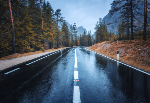 Road in the autumn forest in rain. Perfect asphalt mountain road in overcast rainy day. Roadway with reflection and pine trees. Transportation. Empty highway in foggy woodland. Driveway in fog