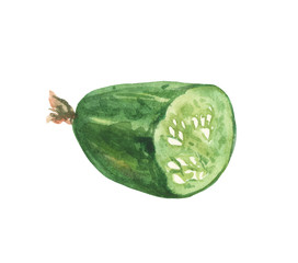 Naklejka premium Watercolor half of cucumbers. Composition on a white background, for design decisions on the theme of cooking, preservation, vegetables, salads.