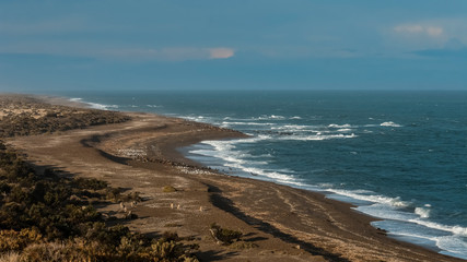 Coastal seascape in Peninsula Valdes,world heritage site.
