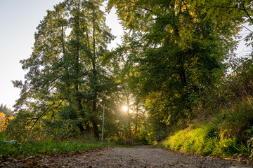 Herbst im Schwarzwald