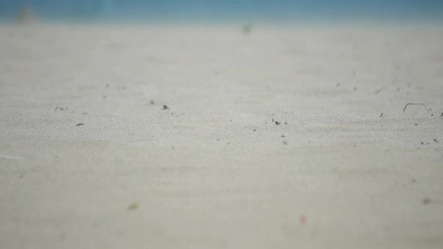 Storm blowing sand over the beach, dessert, closeup
