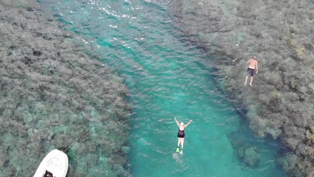 aerial view of a people snorkeling from a small dingy through coral reef in the south pacific