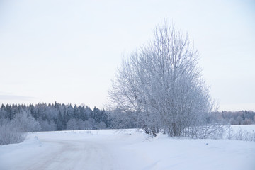 Snowy winter road. Winter fairy tale. Ride on a winter road.