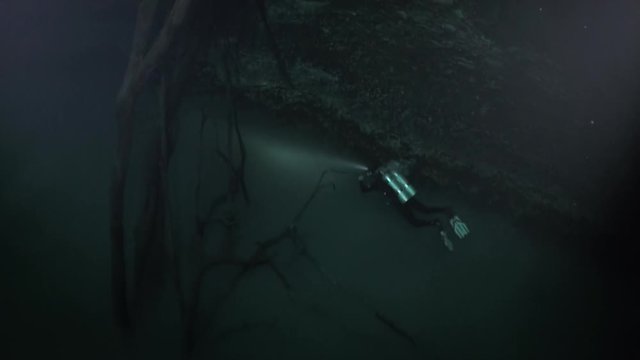 Diver over muddy water halocline near tree roots and sudden change of water salinity in cenotes of underwater cave in Mexico. Divers during cave diving. Phenomenon of wildlife in underwater world.