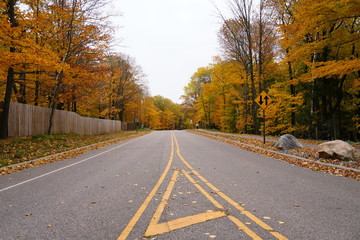 Fototapeta premium Wisconsin's Fall Autumn season color landscape photography. The beauty of autumn color season change.