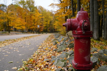 Fototapeta na wymiar Red fire hydrant stands alone among the beauty of the fall autumn season colors