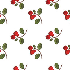 Seamless pattern with watercolor drawings. Bright branches of lingonberry scattered on a white background. Bright and funny pattern. Great for fabric.