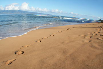 Kaanapali Beach Maui Hawaii High Quality 