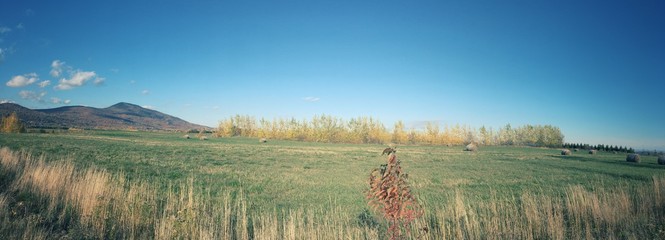 agriculture