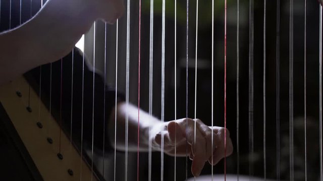 Close up of musician fingers on strings, harpist playing classical melody. Female playing the harp. Stringed musical instrument and young women touching strings. Traditional musical instrument. 