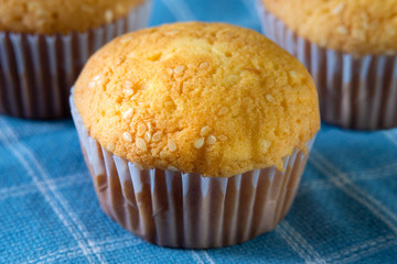 tasty pumpkin white sesame seed muffins, pumpkin cupcake.