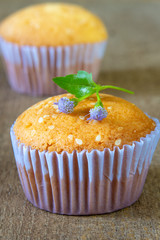tasty pumpkin white sesame seed muffins, pumpkin cupcake.