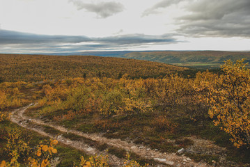 Scenery of mountain s and autumn forests of Finnmark, Norway 