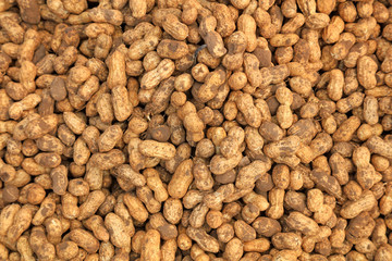 Peanut fruit