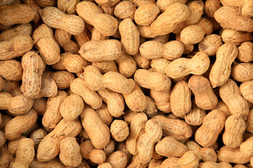 Obraz premium Peanut fruit