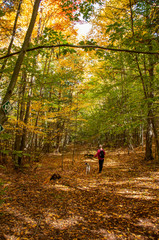 Fototapeta premium woman with dog enjoying the fall colors in the North country NY