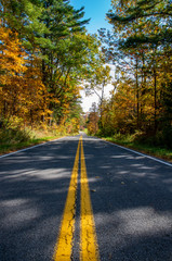 Fall colors in the North country NY