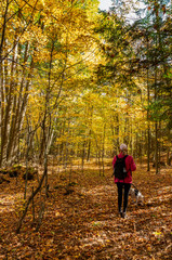 Obraz premium woman with dog enjoying the fall colors in the North country NY